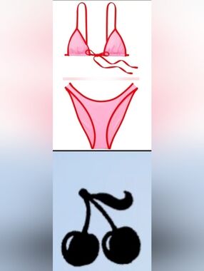 L/L PINK By Frankies Bikinis Atlantic Golden Hour Bikini Set Pink Red